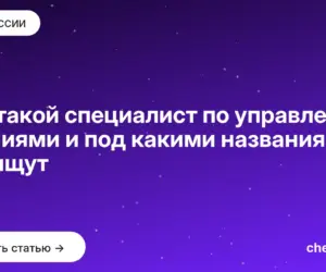 Обложка: Кто такой специалист по управлению знаниями и под какими названиями его ищут
