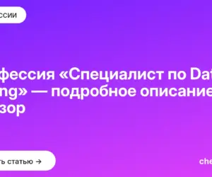 Обложка: Профессия «Специалист по Data Mining» — подробное описание и обзор