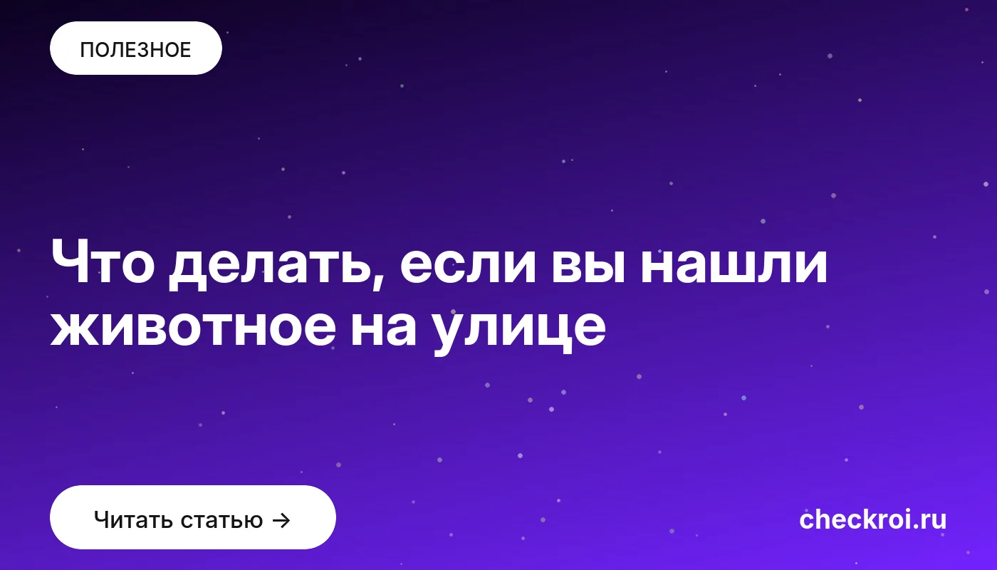 Обложка: Что делать, если вы нашли животное на улице