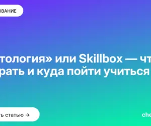 Обложка: «Нетология» или Skillbox — что выбрать и куда пойти учиться