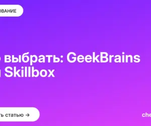 Обложка: Что выбрать: GeekBrains или Skillbox