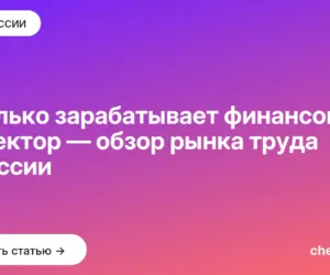 Обложка: Сколько зарабатывает финансовый директор — обзор рынка труда в России