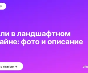 Обложка: Стили в ландшафтном дизайне: фото и описание