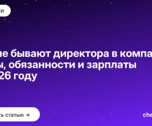 Обложка: Какие бывают директора в компании: виды, обязанности и зарплаты в 2026 году