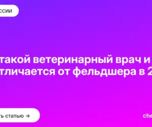 Обложка: Кто такой ветеринарный врач и чем он отличается от фельдшера в 2026