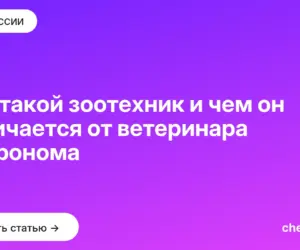 Обложка: Кто такой зоотехник и чем он отличается от ветеринара и агронома