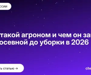 Обложка: Кто такой агроном и чем он занят от посевной до уборки в 2026
