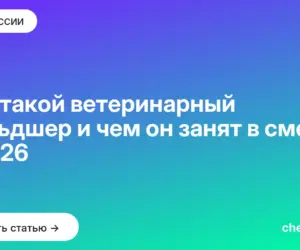 Обложка: Кто такой ветеринарный фельдшер и чем он занят в смену в 2026