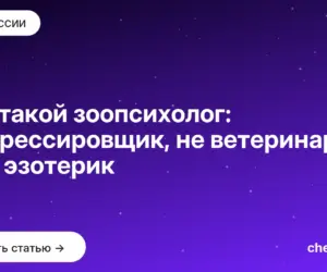 Обложка: Кто такой зоопсихолог: не дрессировщик, не ветеринар и не эзотерик