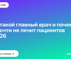 Обложка: Кто такой главный врач и почему он почти не лечит пациентов в 2026