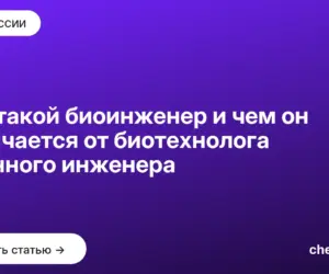 Обложка: Кто такой биоинженер и чем он отличается от биотехнолога и генного инженера
