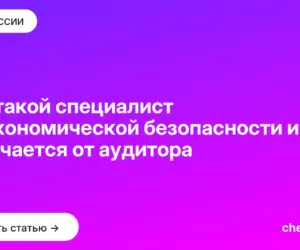 Обложка: Кто такой специалист по экономической безопасности и чем отличается от аудитора