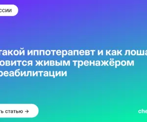 Обложка: Кто такой иппотерапевт и как лошадь становится живым тренажёром для реабилитации