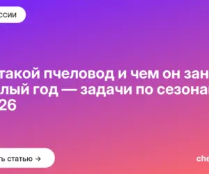 Обложка: Кто такой пчеловод и чем он занят круглый год — задачи по сезонам в 2026