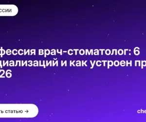 Обложка: Профессия врач стоматолог: 6 специализаций и как устроен приём в 2026