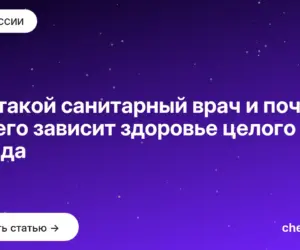 Обложка: Кто такой санитарный врач и почему от него зависит здоровье целого города