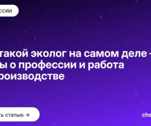 Обложка: Кто такой эколог на самом деле — мифы о профессии и работа на производстве