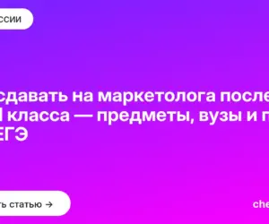 Обложка: Что сдавать на маркетолога после 9 и 11 класса — предметы, вузы и пути без ЕГЭ
