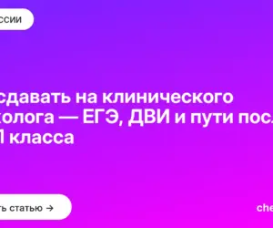 Обложка: Что сдавать на клинического психолога — ЕГЭ, ДВИ и пути после 9 и 11 класса
