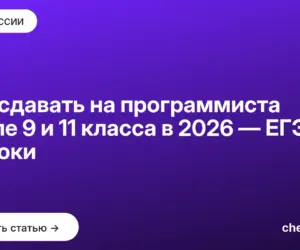 Обложка: Что сдавать на программиста после 9 и 11 класса в 2026 — ЕГЭ и сроки
