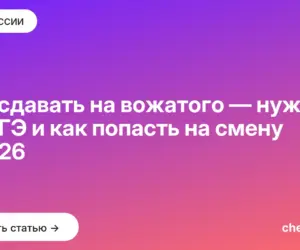 Обложка: Что сдавать на вожатого — нужен ли ЕГЭ и как попасть на смену в 2026