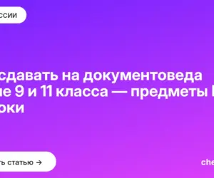 Обложка: Что сдавать на документоведа после 9 и 11 класса — предметы ЕГЭ и сроки