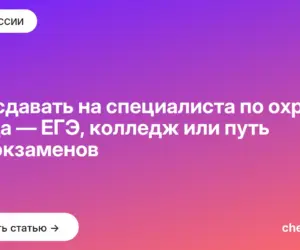 Обложка: Что сдавать на специалиста по охране труда — ЕГЭ, колледж или путь без экзаменов
