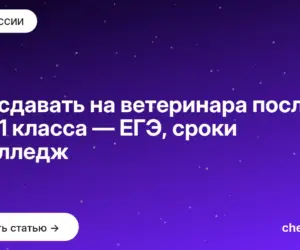Обложка: Что сдавать на ветеринара после 9 и 11 класса — ЕГЭ, сроки и колледж