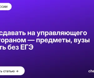Обложка: Что сдавать на управляющего рестораном — предметы, вузы и путь без ЕГЭ