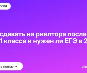 Обложка: Что сдавать на риелтора после 9 и 11 класса и нужен ли ЕГЭ в 2027
