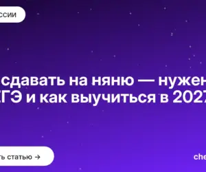 Обложка: Что сдавать на няню — нужен ли ЕГЭ и как выучиться в 2027