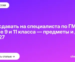 Обложка: Что сдавать на специалиста по ГМУ после 9 и 11 класса — предметы и ДВИ в 2027