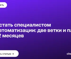 Обложка: Как стать специалистом по автоматизации: две ветки и план на 12 месяцев
