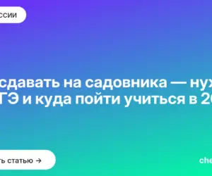 Обложка: Что сдавать на садовника — нужен ли ЕГЭ и куда пойти учиться в 2027