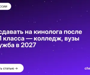 Обложка: Что сдавать на кинолога после 9 и 11 класса — колледж, вузы и служба в 2027