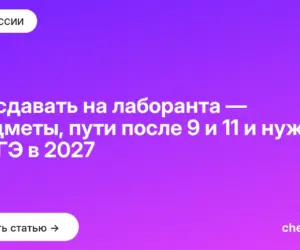 Обложка: Что сдавать на лаборанта — предметы, пути после 9 и 11 и нужен ли ЕГЭ в 2027