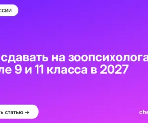 Обложка: Что сдавать на зоопсихолога после 9 и 11 класса в 2027