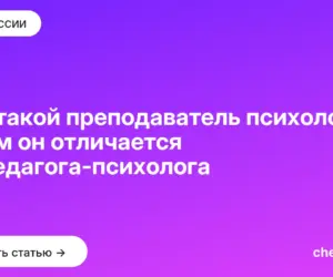 Обложка: Кто такой преподаватель психологии и чем он отличается от педагога психолога