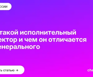 Обложка: Кто такой исполнительный директор и чем он отличается от генерального