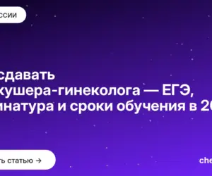 Обложка: Что сдавать на акушера гинеколога — ЕГЭ, ординатура и сроки обучения в 2027