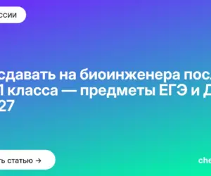 Обложка: Что сдавать на биоинженера после 9 и 11 класса — предметы ЕГЭ и ДВИ в 2027