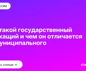 Обложка: Кто такой государственный служащий и чем он отличается от муниципального