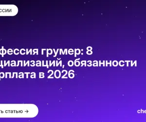 Обложка: Профессия грумер: 8 специализаций, обязанности и зарплата в 2026