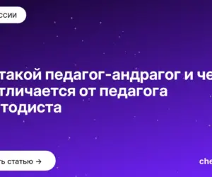 Обложка: Кто такой педагог андрагог и чем он отличается от педагога и методиста
