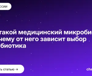 Обложка: Кто такой медицинский микробиолог и почему от него зависит выбор антибиотика