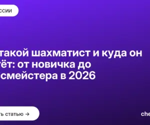 Обложка: Кто такой шахматист и куда он растёт: от новичка до гроссмейстера в 2026