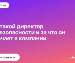 Обложка: Кто такой директор по безопасности и за что он отвечает в компании