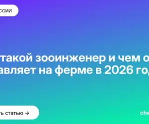 Обложка: Кто такой зооинженер и чем он управляет на ферме в 2026 году