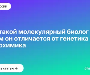 Обложка: Кто такой молекулярный биолог и чем он отличается от генетика и биохимика