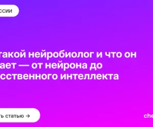 Обложка: Кто такой нейробиолог и что он изучает — от нейрона до искусственного интеллекта